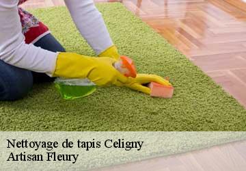 Nettoyage de tapis  celigny-1298 Artisan Fleury 