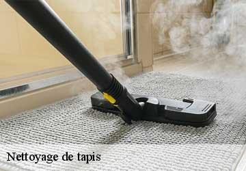 Nettoyage de tapis  celigny-1298 Artisan Fleury 