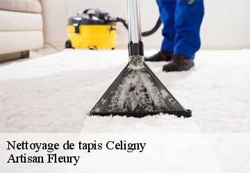 Nettoyage de tapis  celigny-1298 Artisan Fleury 